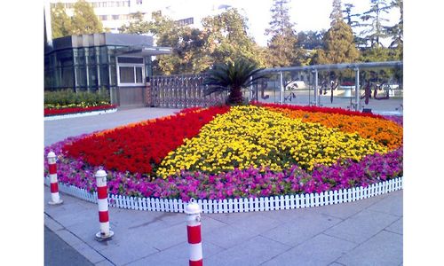 花坛- 北京蝶风园林绿化工程有限公司