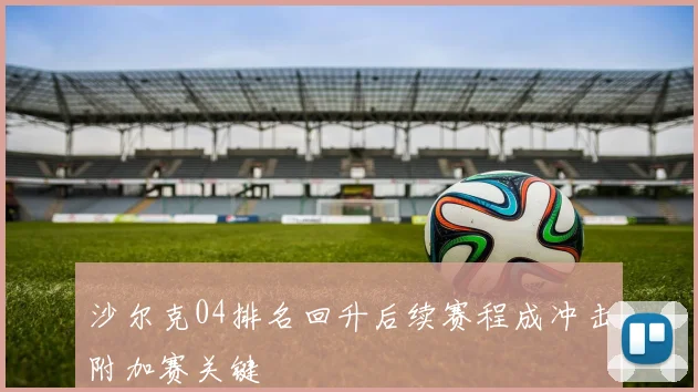 沙尔克04排名回升后续赛程成冲击附加赛关键