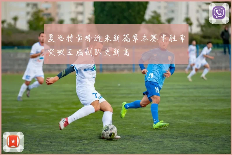 夏洛特黄蜂迎来新篇章本赛季胜率突破五成创队史新高